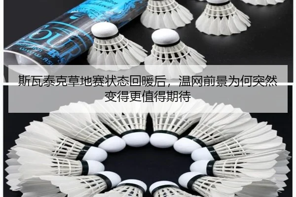 斯瓦泰克草地赛状态回暖后，温网前景为何突然变得更值得期待